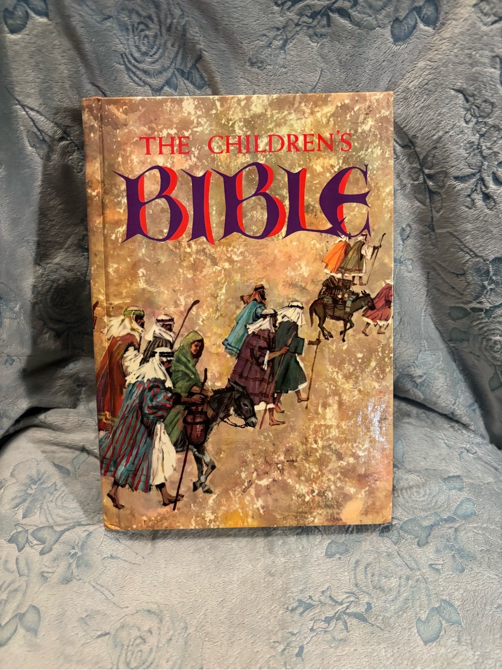 The Children's Bible - Illustrated Kids Book (Multicolor)